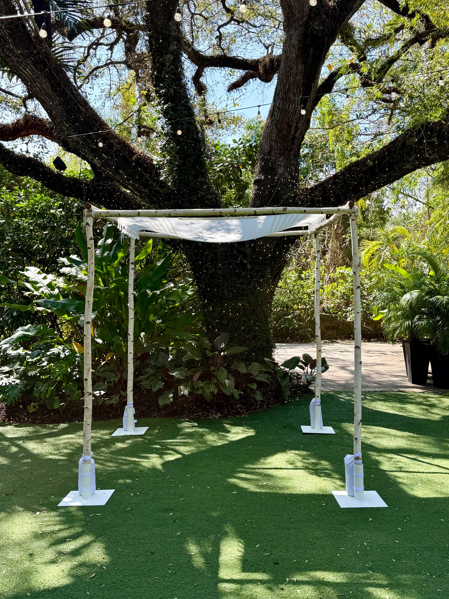 Birch Chuppah/Arch Rental Miami