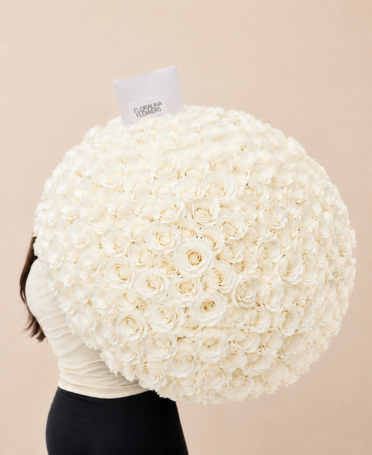 White Rose Sale – 25% Off